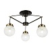 Светильник потолочный Черный, Бронза/Прозрачный, Белый E27 3*60W SLE110302-03 - фото