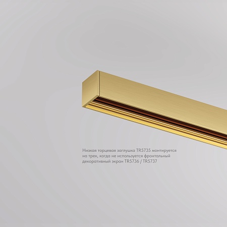 TR5735-SB Торцевая заглушка низкая, для использования без экрана, для трека Shine, серия Base, комплект 2 шт, сатинированная латунь, алюминий - фото