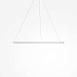 Подвесной светильник Maytoni Rim MOD058PL-L54WK - фото