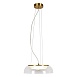 Подвесной светильник Lussole DEARBORN LSP-7062 - фото