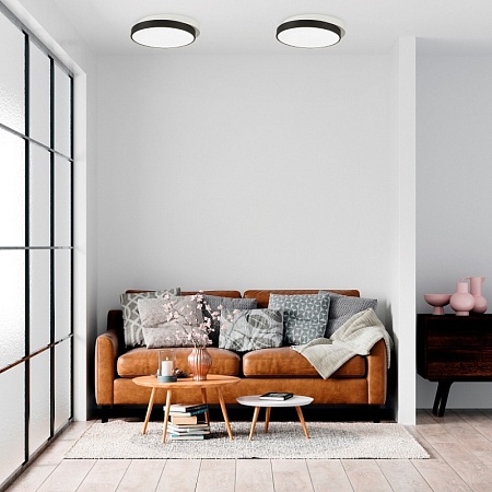 Светильник потолочный Черный, Белый/Белый LED 1*45W 3000K/4000K/6000K SLE200712-01 - фото