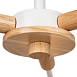 Потолочная люстра Arte Lamp MATTHEW A5032PL-3BR - фото