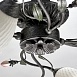 Люстра MW-Light Верона 334013504 - фото