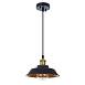 Подвесной светильник Arte Lamp CAPPELLO A7038SP-1BK - фото