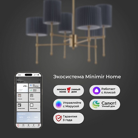 Потолочный светильник Eurosvet 60162/6 латунь - фото