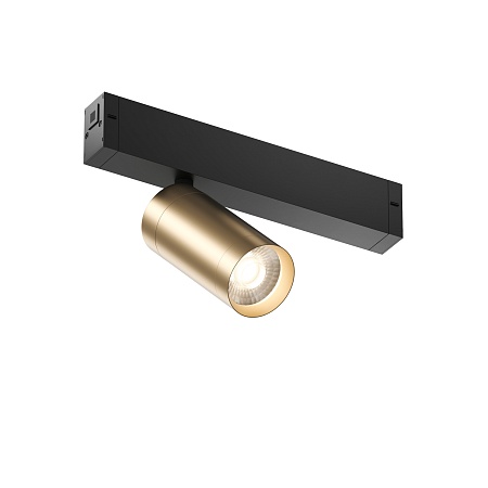 Светильник на шине Denkirs SMART SPOT DK8010-BG - фото