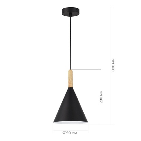 Светильник подвесной Черный/Черный E27 1*40W SLE1255-403-01 - фото
