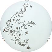 Потолочный светильник Arte Lamp ORNAMENT A3820PL-2CC