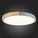 Светильник потолочный Серый, Светлое дерево/Белый LED 1*40W 3000K/4000K/6000K SLE201372-01 - фото