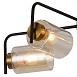Люстра Freya FR4014PL-05BBZ - фото