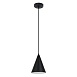 Подвесной светильник Arte Lamp LARK A7074SP-1BK - фото