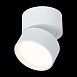 Светильник потолочный поворотный Белый LED 1*9W 3000K 720Lm Ra>90 120° IP20 D85xH87 170 ST651.532.09 - фото