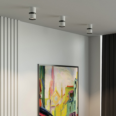 Светильник потолочный светодиодный 12W 4000К белый/чёрный 25049/LED Elektrostandard - фото