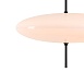 Подвесной светильник Freya FR5648PL-03B - фото