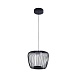 Подвесной светильник Arte Lamp FLARE A3529SP-12BK - фото