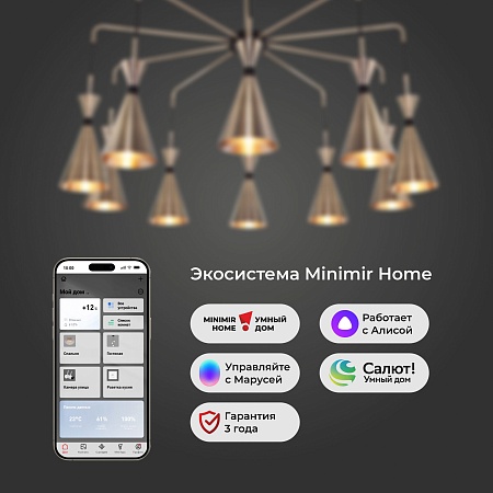 Потолочный светильник Bogate's 316/10 латунь / черный - фото