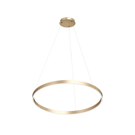 Потолочный подвесной светильник Denkirs DK6272-SG - фото