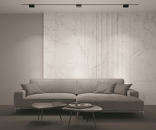 Трековый светильник Technical Basis Rot TR013-2-10W3K-B - фото