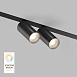Светильник на шине Denkirs SMART SPOT DK8012-BK - фото