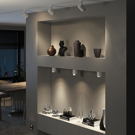 Потолочный светодиодный светильник Cors 25032/LED 10W 4200K белый/серебро Elektrostandard - фото