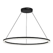Светильник подвесной ST-Luce черный/прозрачный LED 1*54W 4000K SL1018.413.01