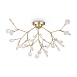 Потолочный светильник Freya Florencia FR5049CL-36G - фото