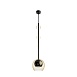 Подвесной светильник Maytoni Ros MOD227PL-01B1 - фото