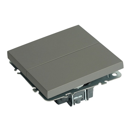 Переключатель 2-клавишный (механизм), STEKKER, 250В, 10А, серия Эмили, RSW10-5107-10, платиново-серый, soft touch - фото