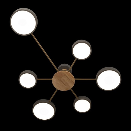 10316/6 Grey Потолочный светильник LOFT IT Sunrise - фото