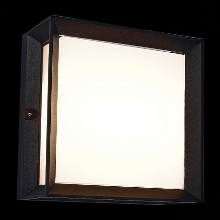 Светильник уличный потолочный ST-Luce Черный/Белый LED 1*12W 3000K SL077.402.01 - фото