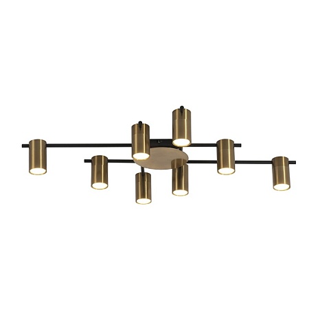 Потолочная люстра Favourite 2827-8P - фото