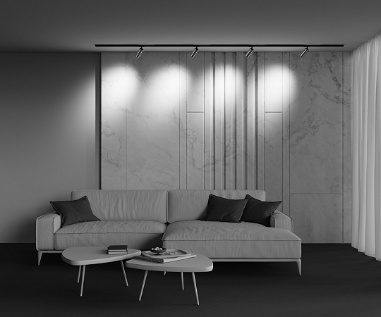 Трековый светильник Technical FOCUS LED TR021-1-12W3K-W-BBS - фото