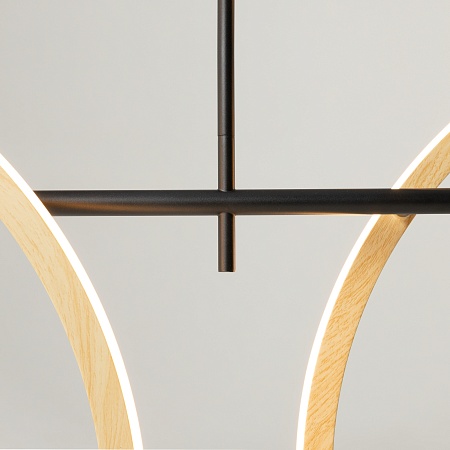 Подвесной светильник Maytoni MOD428PL-L20BK - фото