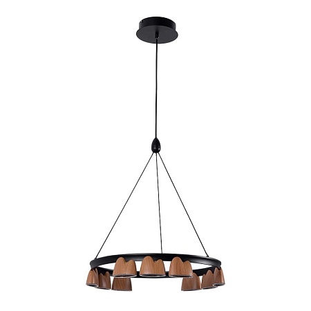 Подвесная люстра Favourite 4266-9P - фото