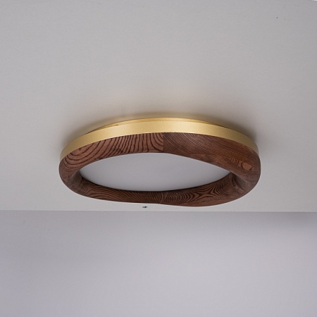 Потолочный Светильник Runis D60 Dark Brown Imperiumloft 219475-26 - фото