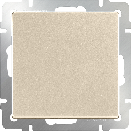 Выключатель одноклавишный проходной шампань WL11-SW-1G-2W - фото