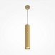 Подвесной светильник Technical Focus Design P038PL-01G - фото