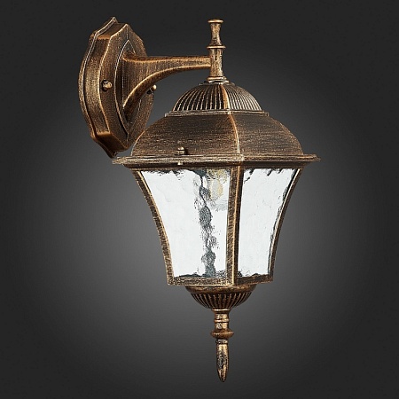 Светильник уличный настенный ST-Luce Бронза/Бронза, Прозрачный E27 1*60W SL082.211.01 - фото