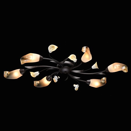Люстра MW-Light Восторг 242017006 - фото