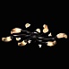 Люстра MW-Light Восторг 242017006 - фото