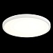 Светильник настенно-потолочный Белый LED 1*32W 3000K 2 880Lm Ra>80 120° IP20 D400xH25 1 ST601.532.32 - фото