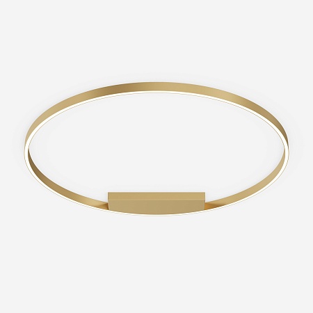 Потолочный светильник Maytoni Rim MOD058CL-L65BSK - фото