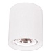 Точечный накладной светильник Arte Lamp TUBO A9262PL-1WH - фото