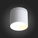 Светильник потолочный Белый LED 1*12W 3000K 936Lm Ra>80 120° IP20 D100xH90 170-240V ST102.502.12 - фото