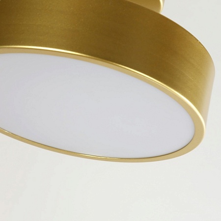 Потолочный светильник F-Promo 3059-2P - фото