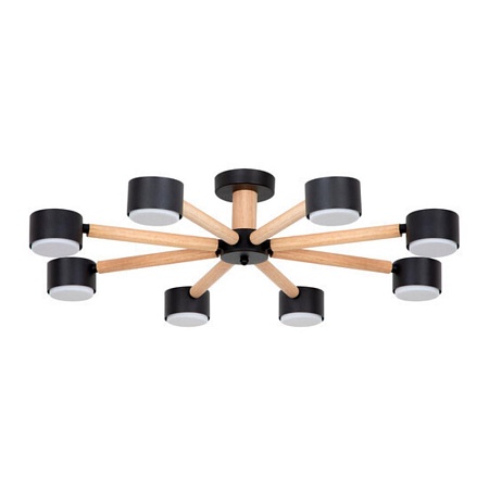 Потолочная люстра Arte Lamp TENDA A1624PL-8BK - фото