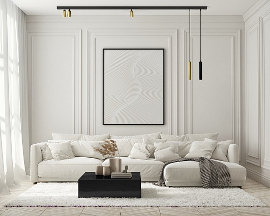 Светильник на шине Denkirs SMART SPOT DK8012-BG - фото