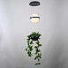 Подвесной Светильник Palma Wall Lamp Шар + Вазон Imperiumloft 168489-22 - фото