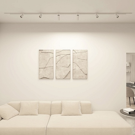 Светильник на шине Denkirs Scope DK6060-BW+BK - фото