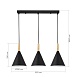 Светильник подвесной Черный/Черный E27 3*40W SLE1255-403-03 - фото